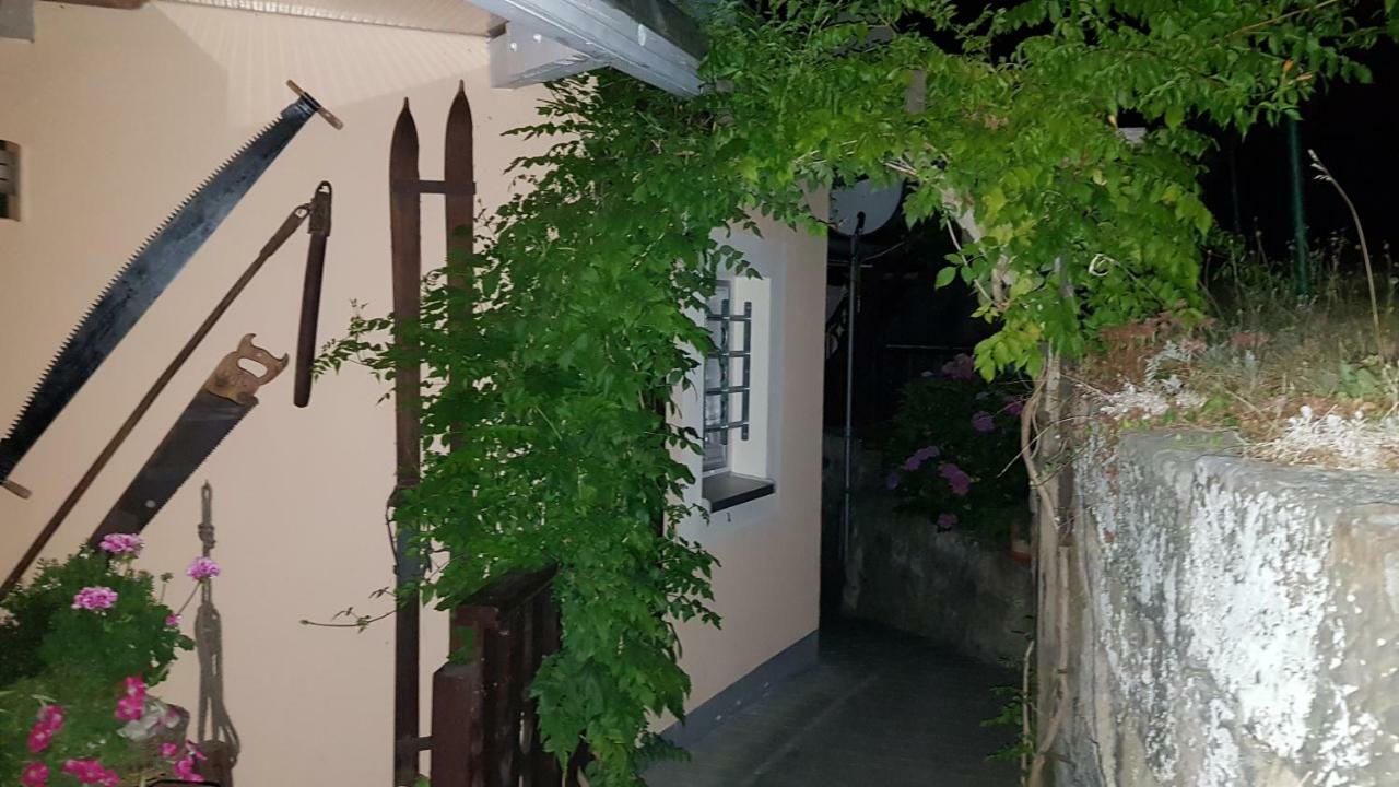 Ferienwohnungen "Gruendelrast" Prossen Exterior foto